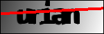 متن برای شناسایی